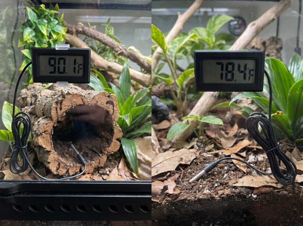 Two digital thermometers showing warm and cool side temperatures in a ball python enclosure