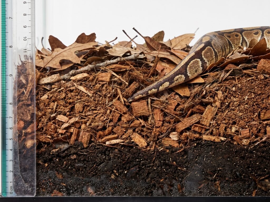 Ball python substrate cross-section showing three-inch naturalistic coco coir and cypress mulch layers