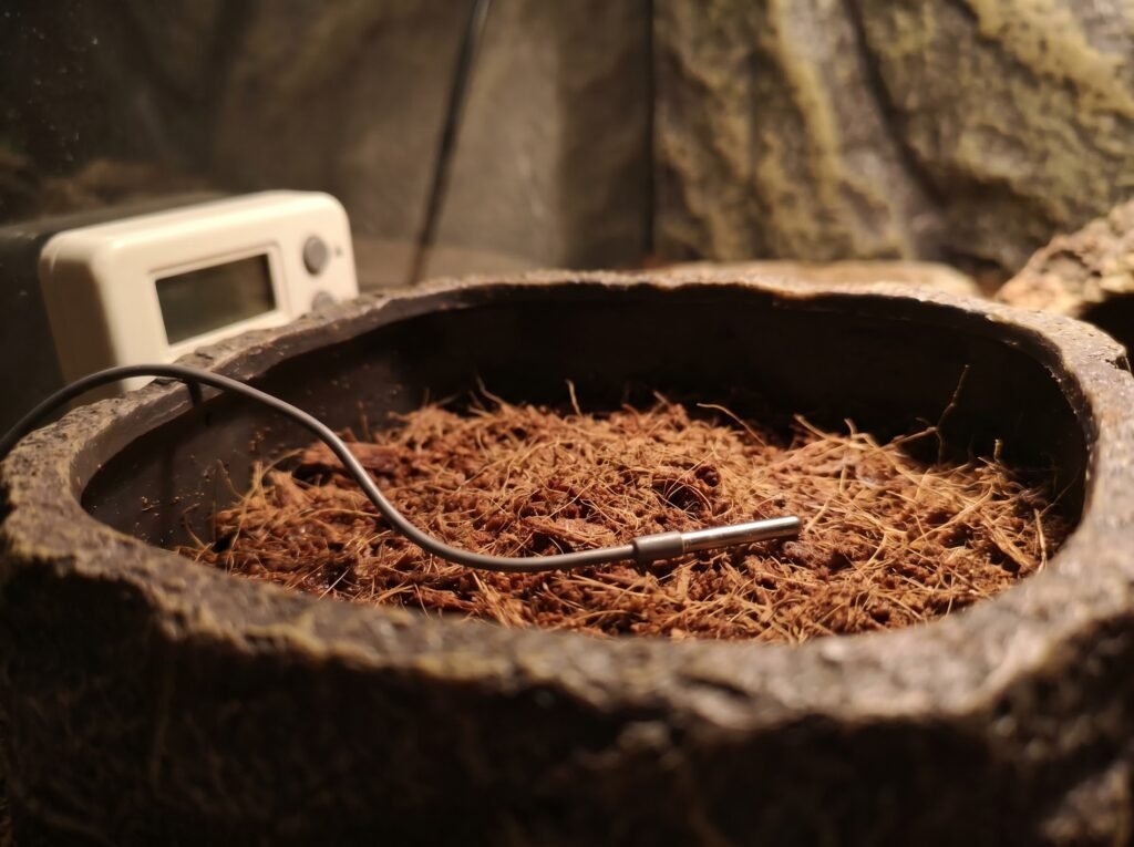 Thermostat probe resting on substrate inside a ball python warm hide